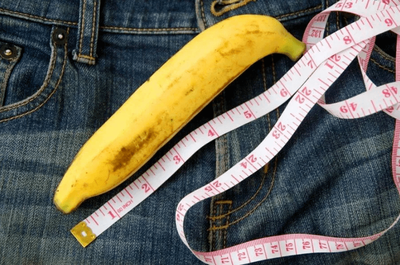 The length of the penis
