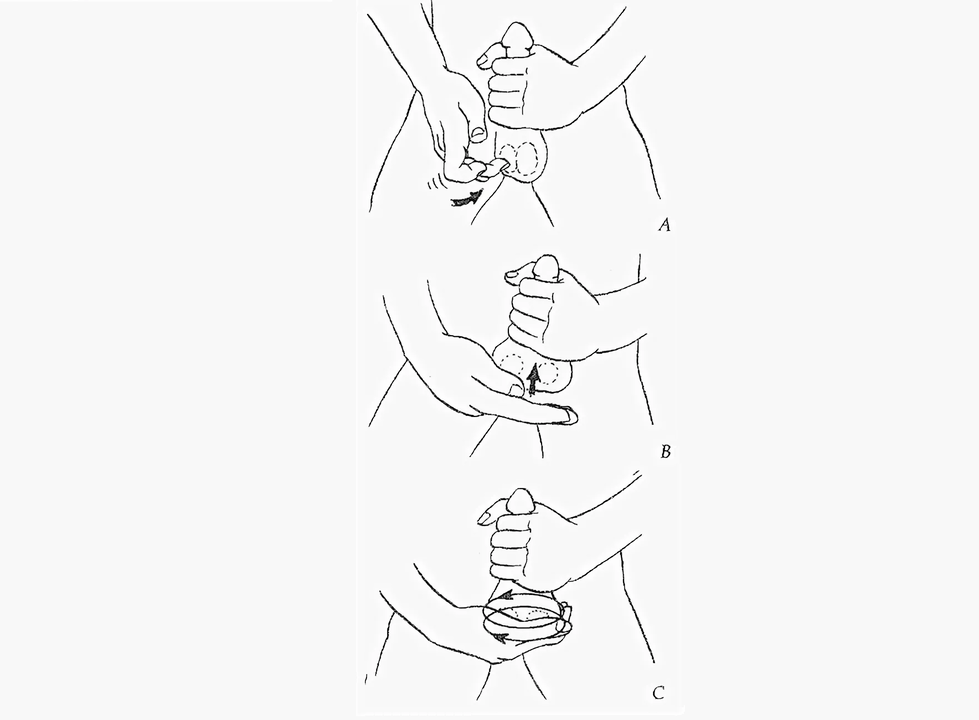 Penis enlargement massage