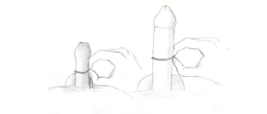 Measuring the thickness of the penis